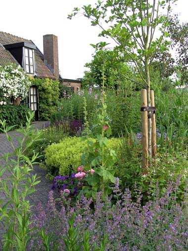 De accommodatie met gedeelte van de tuin