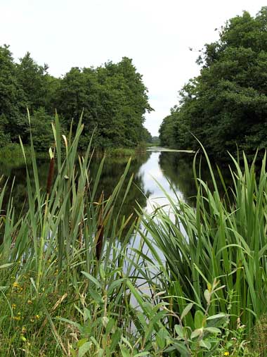 De omgeving van Bed and breakfast Groenekan